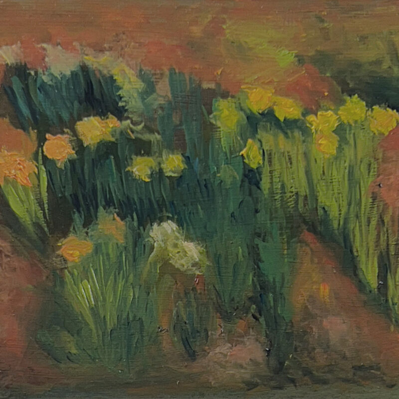 Oil Paintings of Flowers - Tulips in March by Marie Frances