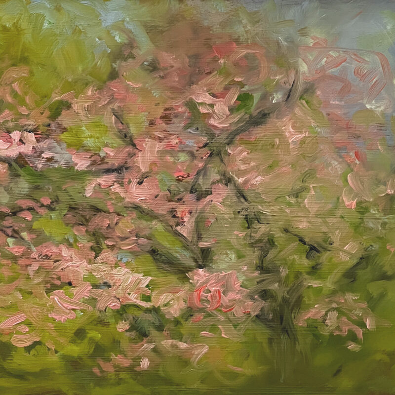 Floral Paintings - Dogwood Pink Blossoms by Marie Frances