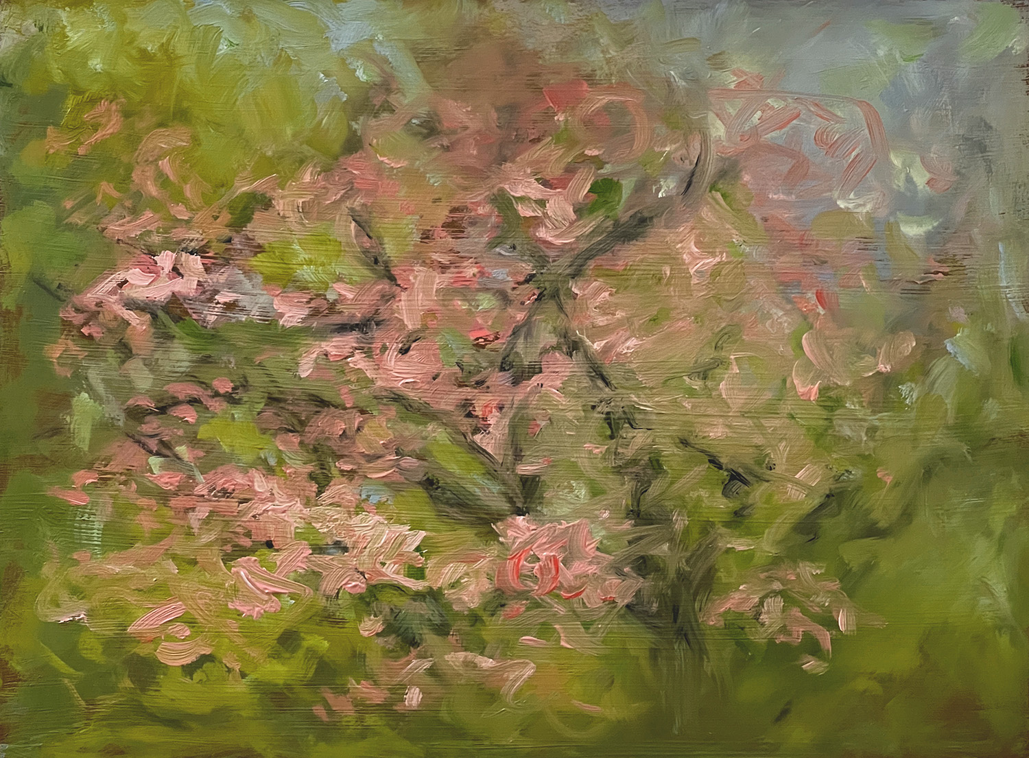 Floral Paintings - Dogwood Pink Blossoms by Marie Frances