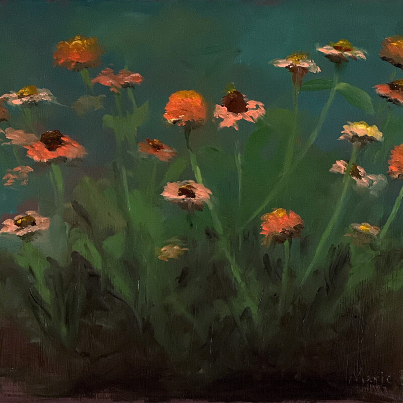 Wildflower Painting - Zinderella Peach Zinnias by Marie Frances
