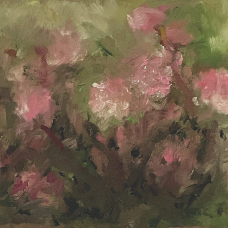 Spring Flower Painting - Blushing Hellebores by Marie Frances Fine Art