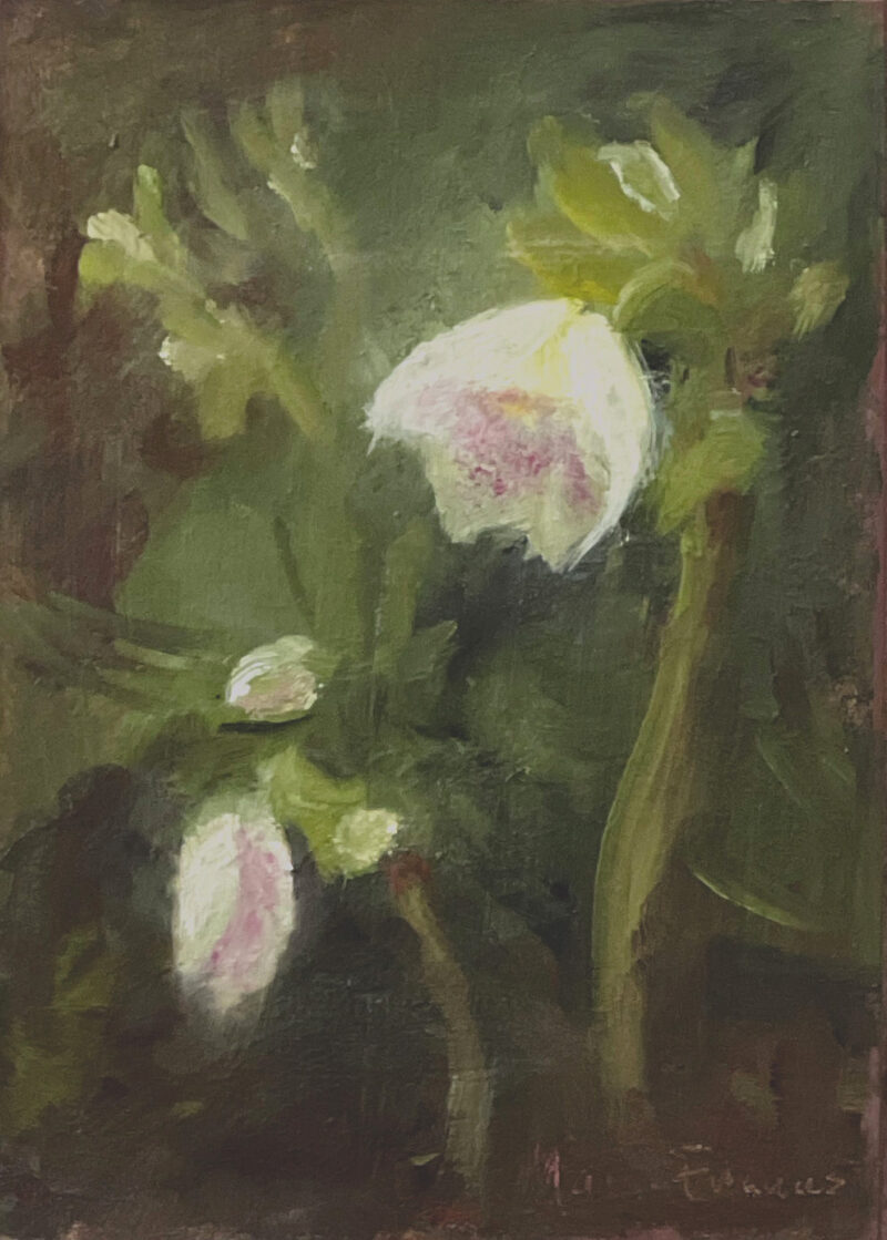 Spring Flowers Oil Painting - White Hellebores by Marie Frances Fine Art