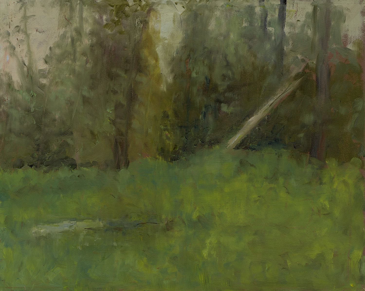 Forest in Mt. Adams by Marie Frances