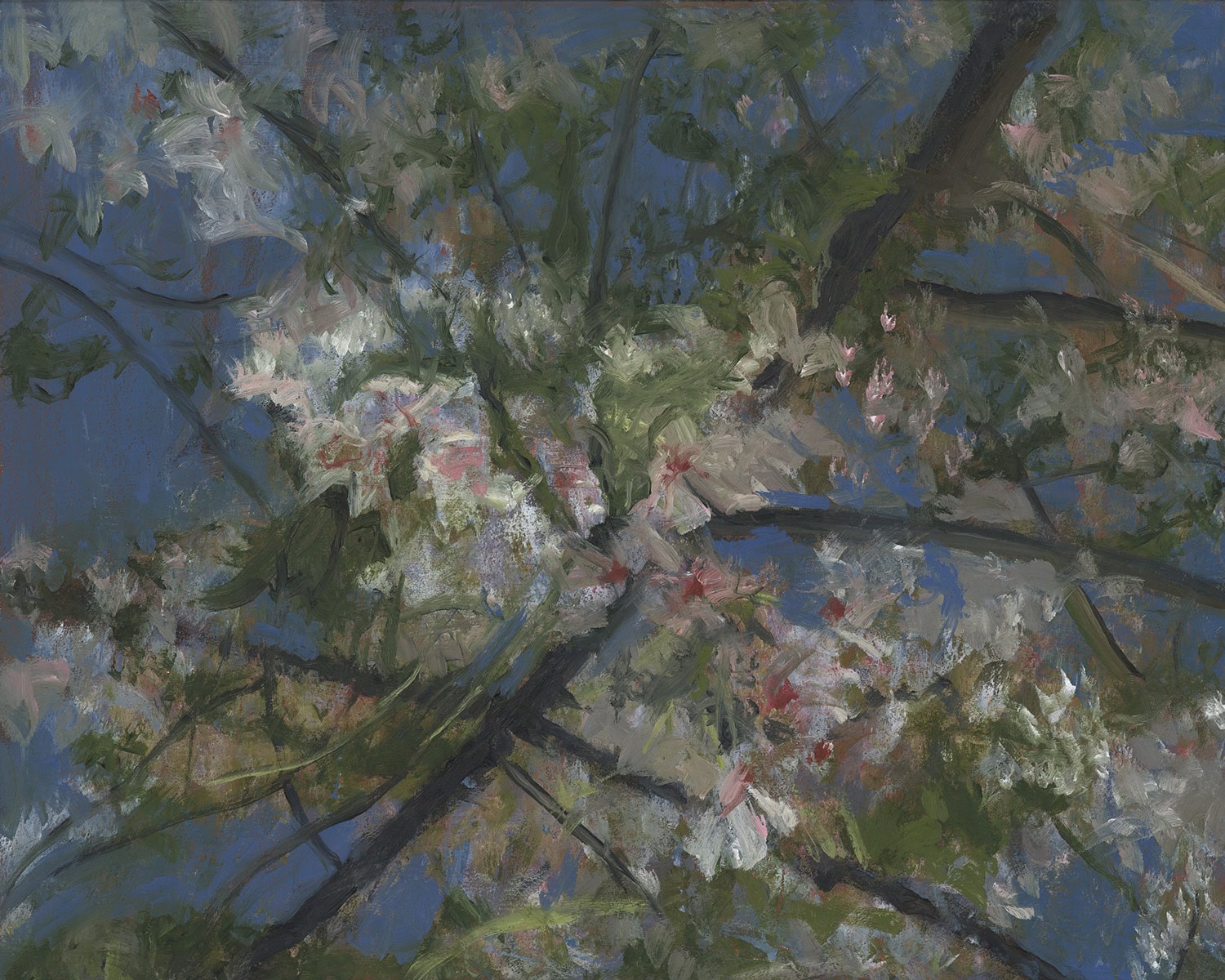 Marie Frances Studio - Fine Art