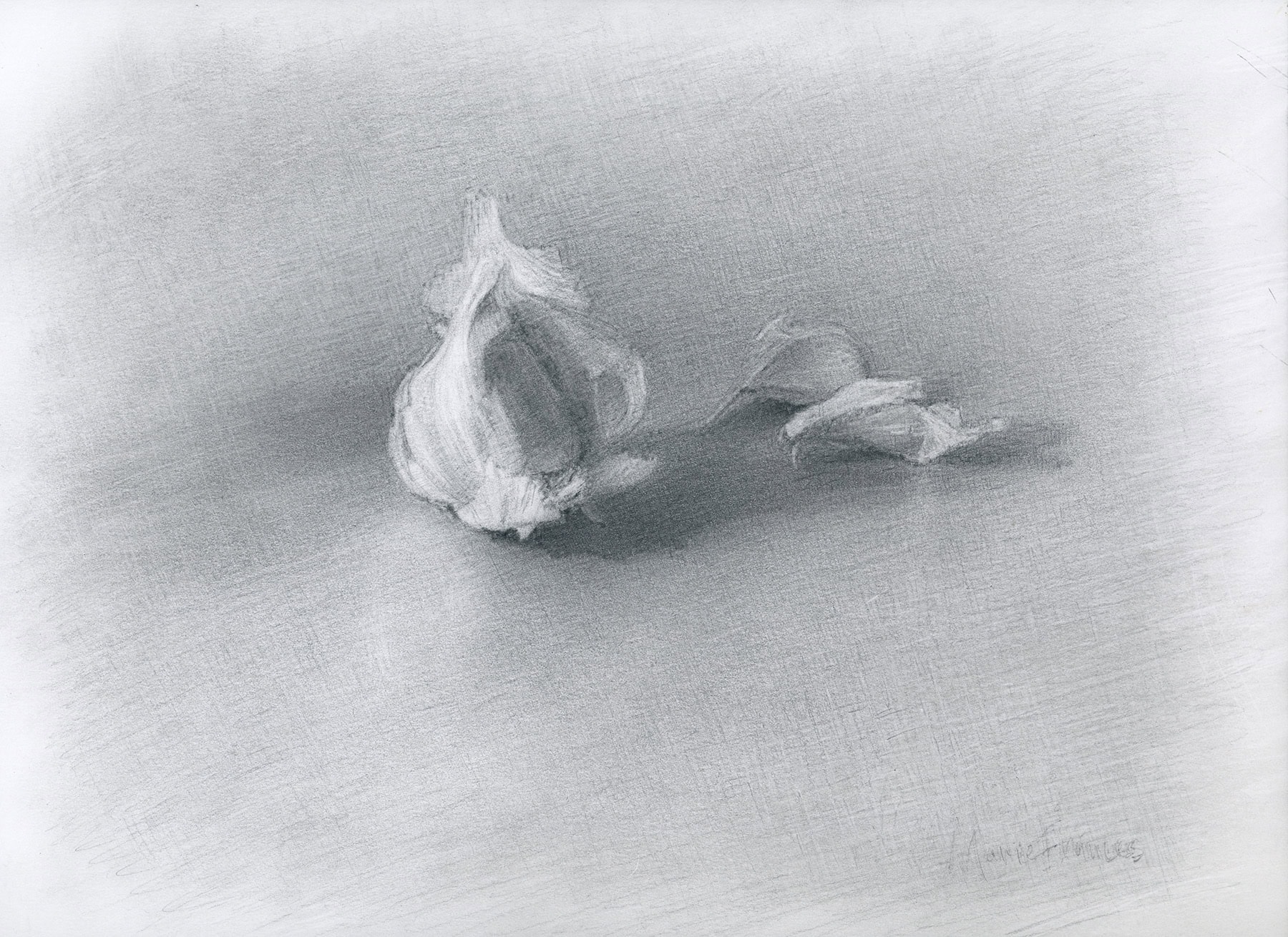 Garlic Drawing by Marie Frances