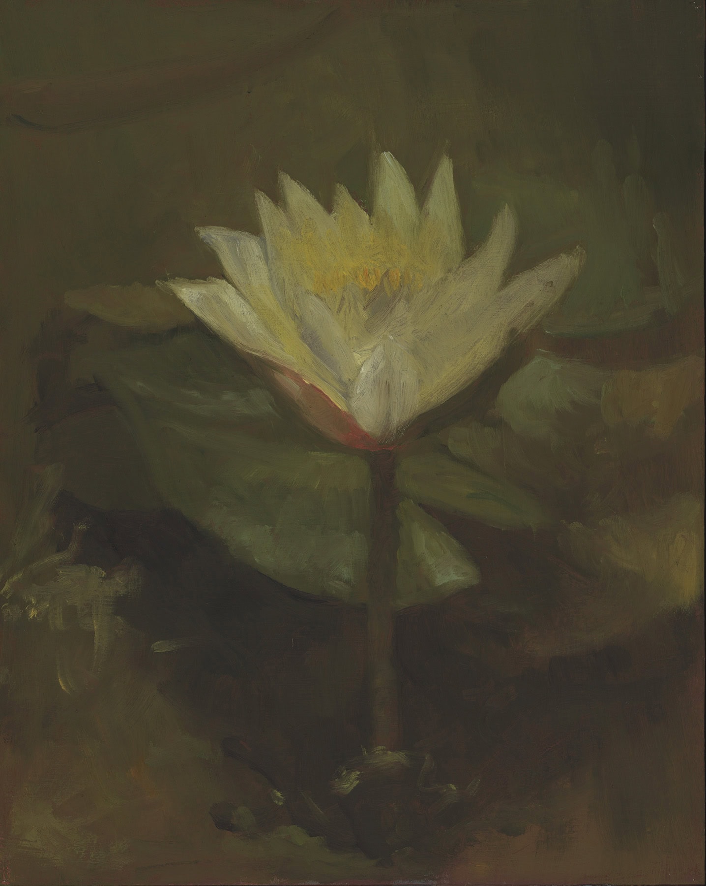 Oil Painting of Water Lilies