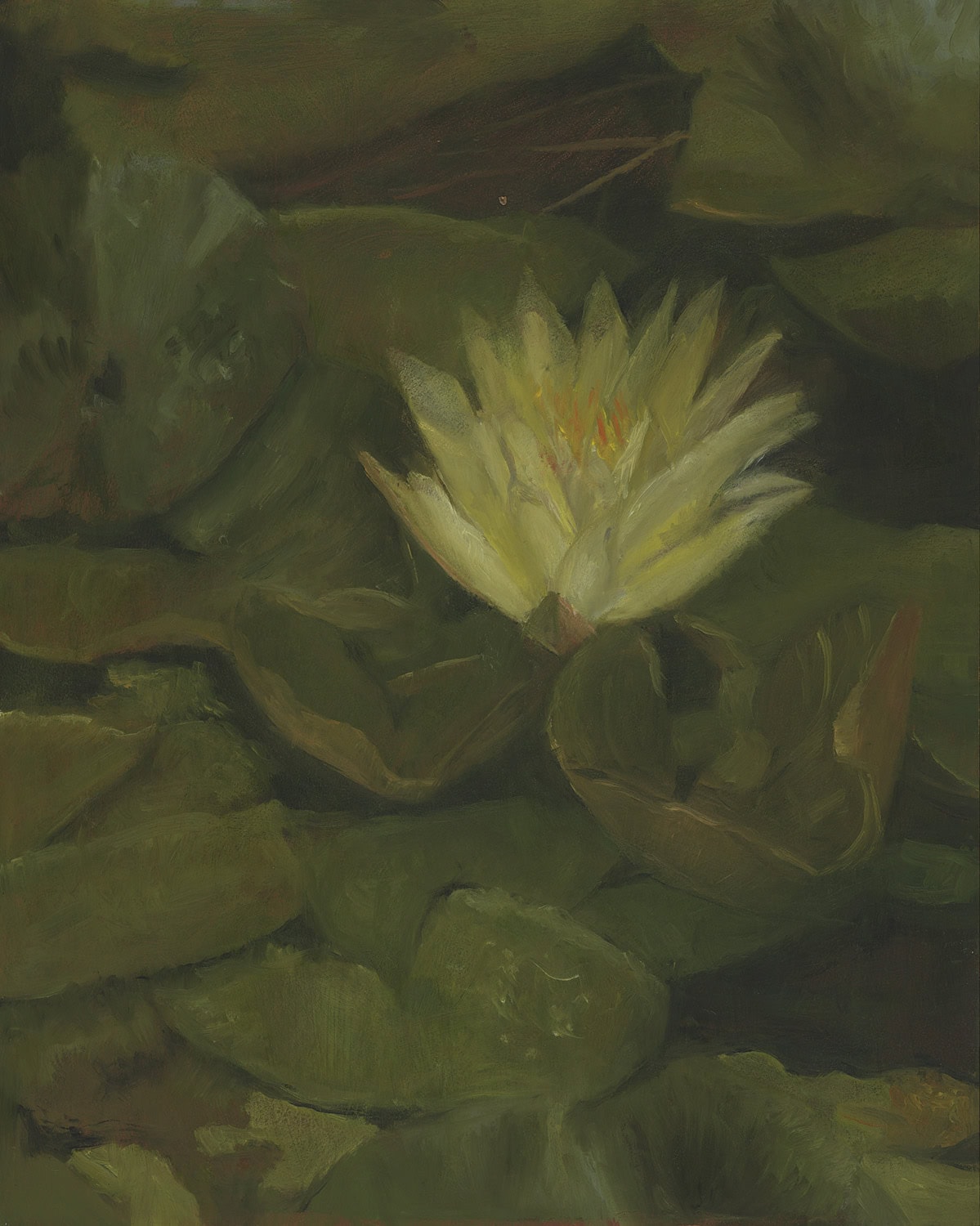Oil Painting of Water Lilies